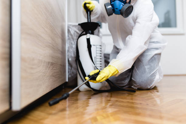Reliable Merryville, LA Pest Control Solutions