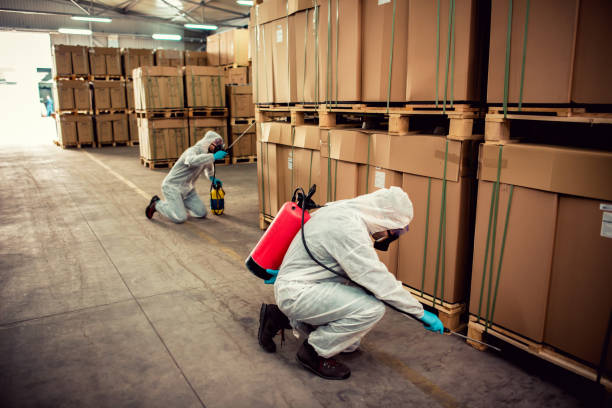 Best Exterminator Services  in Merryville, LA