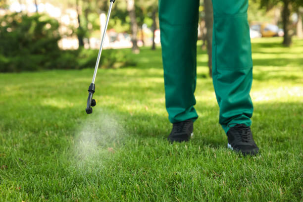 Best Wildlife Control Services  in Merryville, LA