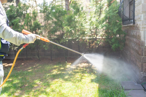 Best Spider Control Near Me  in Merryville, LA