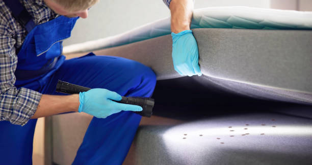 Best Rat Extermination Near Me  in Merryville, LA