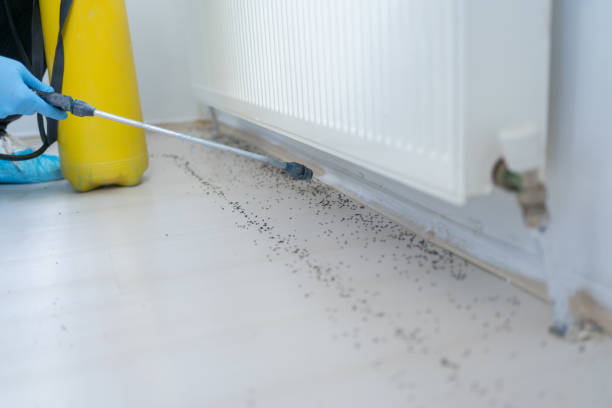 Best Cockroach Control Services  in Merryville, LA