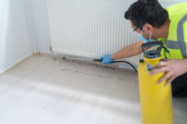 Best Rat Extermination Near Me  in Merryville, LA
