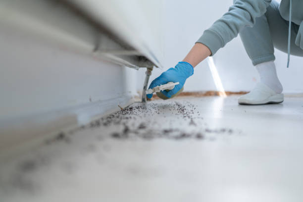 Best Pest Control for Businesses  in Merryville, LA